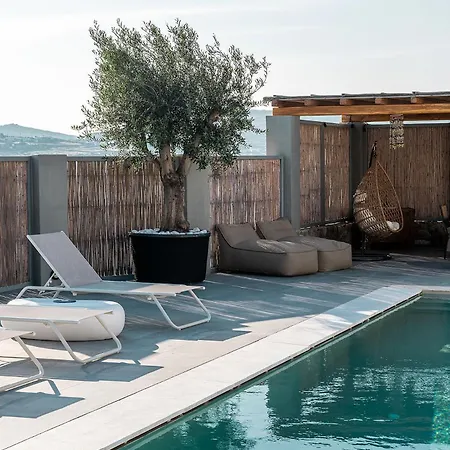 Willa Chrysanthemo *