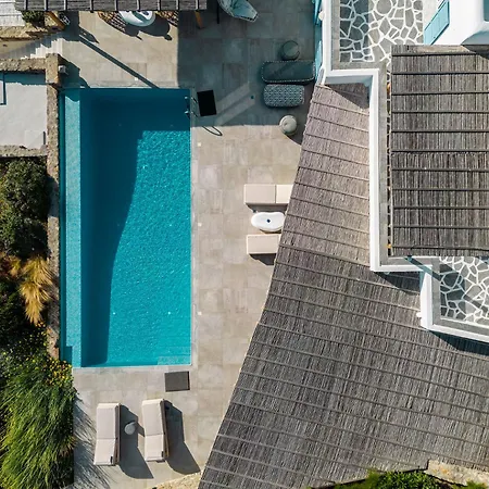 Willa Chrysanthemo *