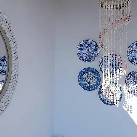 Chrysanthemo 아노 메라