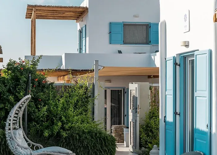 Chrysanthemo Ano Mera