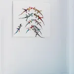 Chrysanthemo