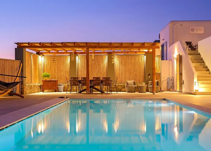 Willa Chrysanthemo *