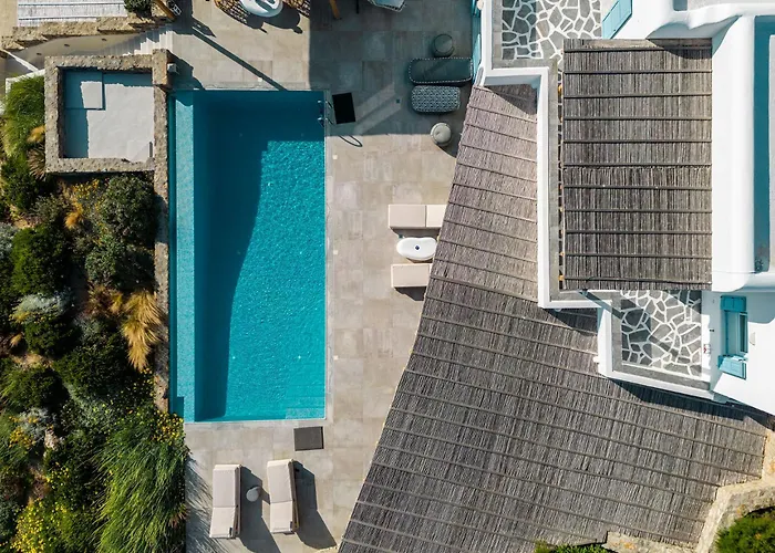 Willa Chrysanthemo *